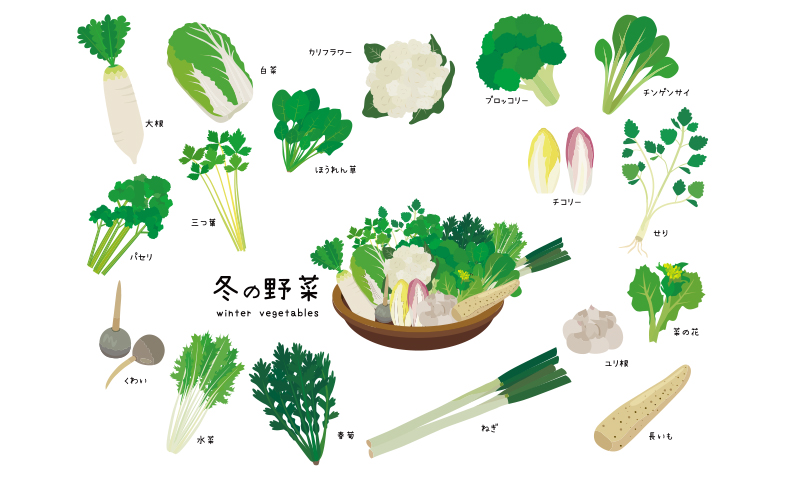 冬の野菜