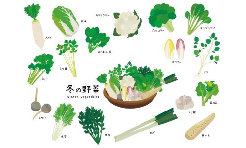 冬の野菜