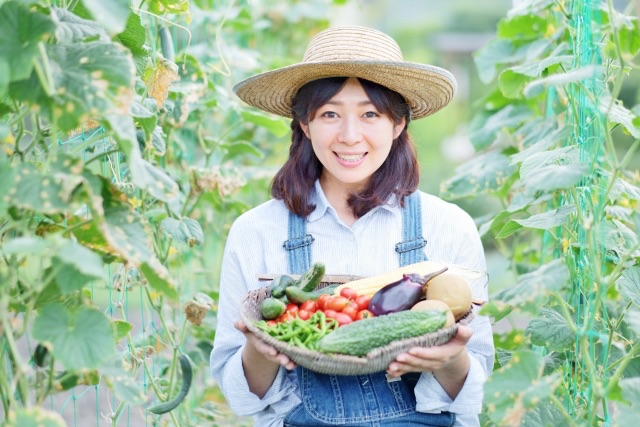写真素材：収穫した野菜を持つ農業女子5