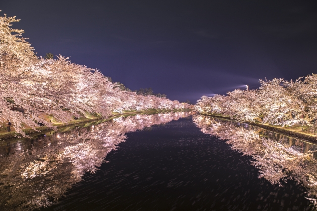 弘前城の桜とリフレクション