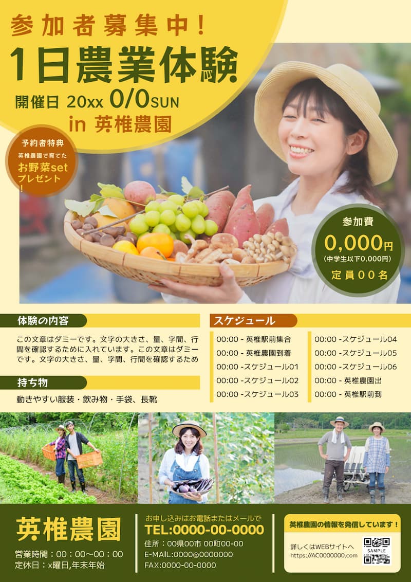 効果的なチラシデザインの作り方とテンプレート選びの極意