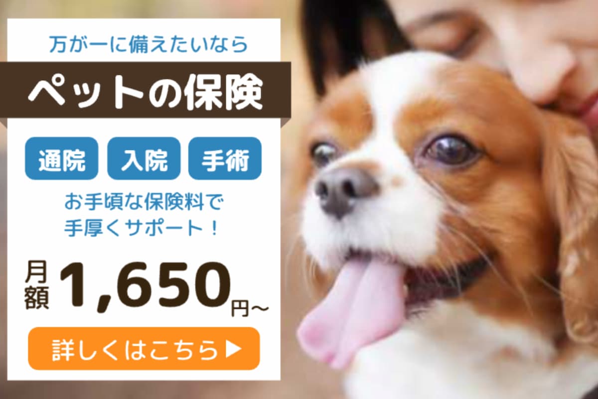 魅せるバナーを作るコツと無料テンプレート活用法