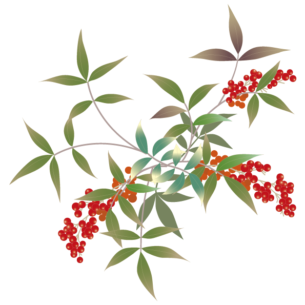 寒中見舞いイラスト素材