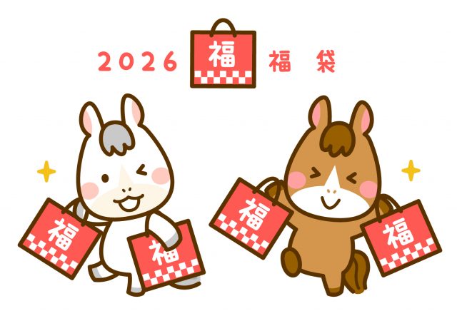 シンプルな福袋の素材