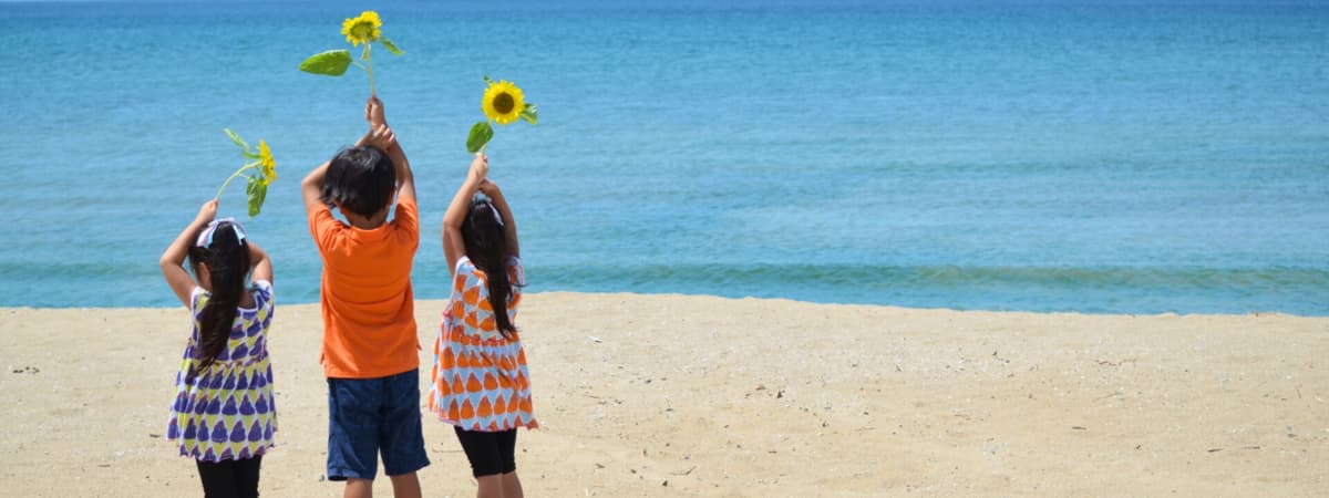 ブログ用のフリー素材おすすめサイト 15 選