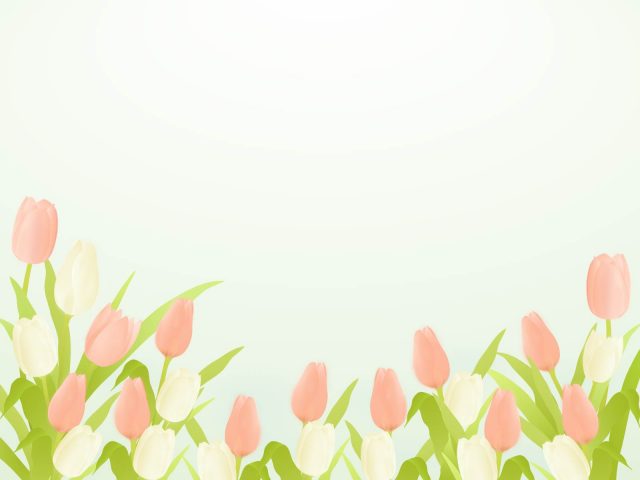 チューリップの背景