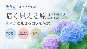 梅雨のアイキャッチが暗く見える原因は？爽やかに見せるコツを解説